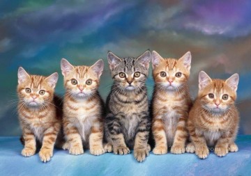 猫の列 Oil Paintings